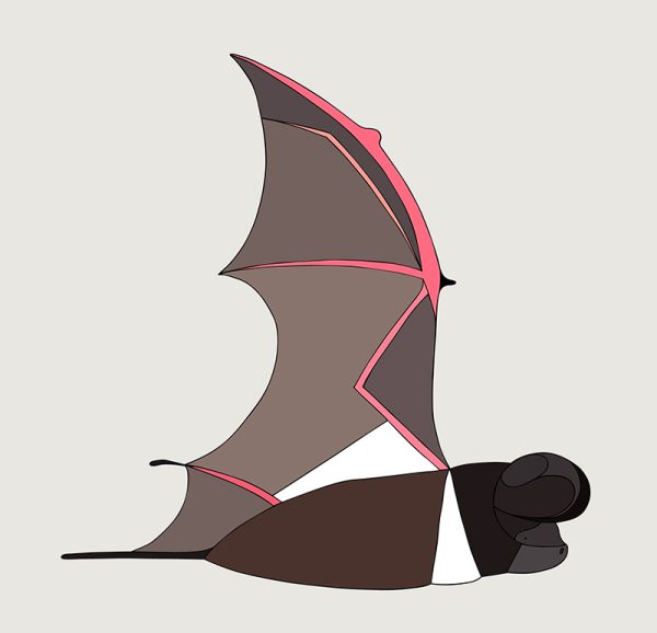 White-striped Freetail Bat - Image 3