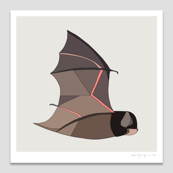 Gould's Wattled Bat
