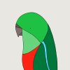 King Parrot (female) - Image 3