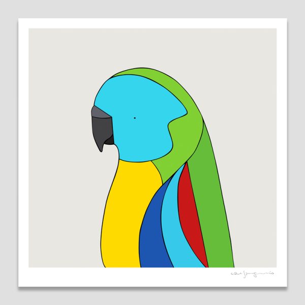 Turquoise Parrot