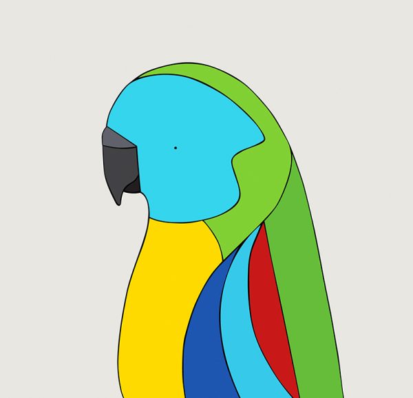 Turquoise Parrot - Image 3