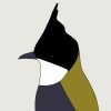 Eastern Whipbird - Image 3