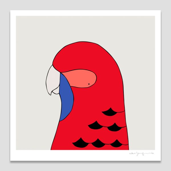 Crimson Rosella