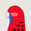 Crimson Rosella - Image 3