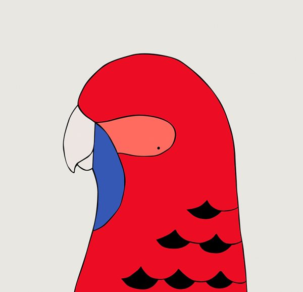 Crimson Rosella - Image 3