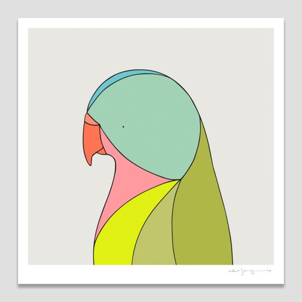 Princess Parrot