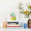 Princess Parrot - Image 2