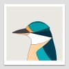 Sacred Kingfisher