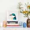 Sacred Kingfisher - Image 2