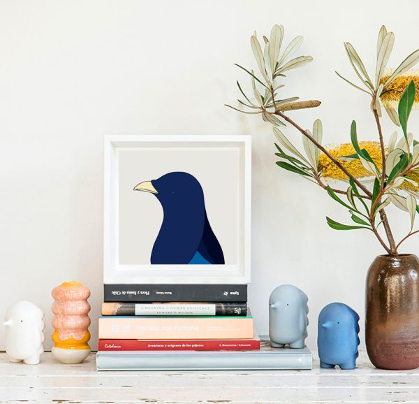 Satin Bowerbird (male) - Image 2