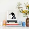 Grey Butcherbird - Image 2