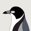 Grey Butcherbird - Image 3