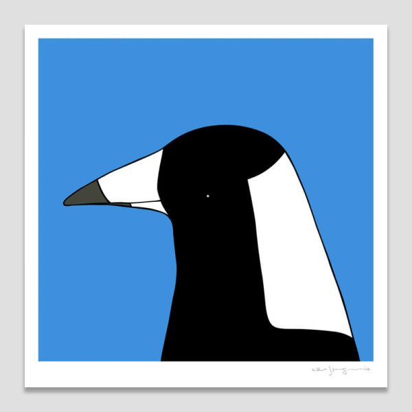 Australian Magpie