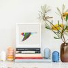 Gouldian Finch In Flight - Image 2