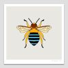 Blue-banded Bee