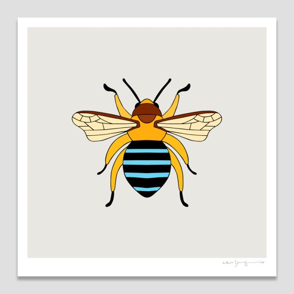 Blue-banded Bee