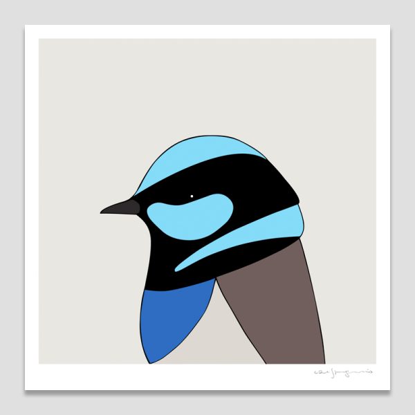 Superb Fairy-wren