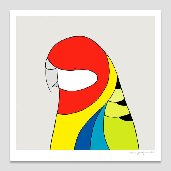 Eastern Rosella