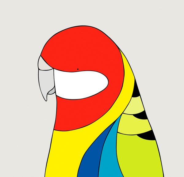 Eastern Rosella - Image 3