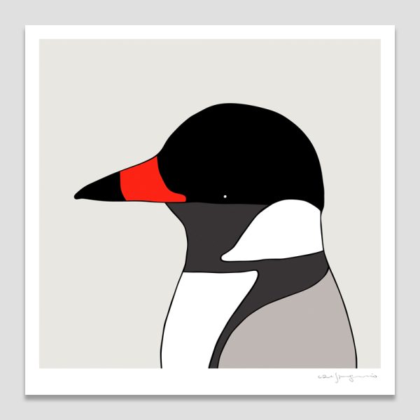 Hooded Plover