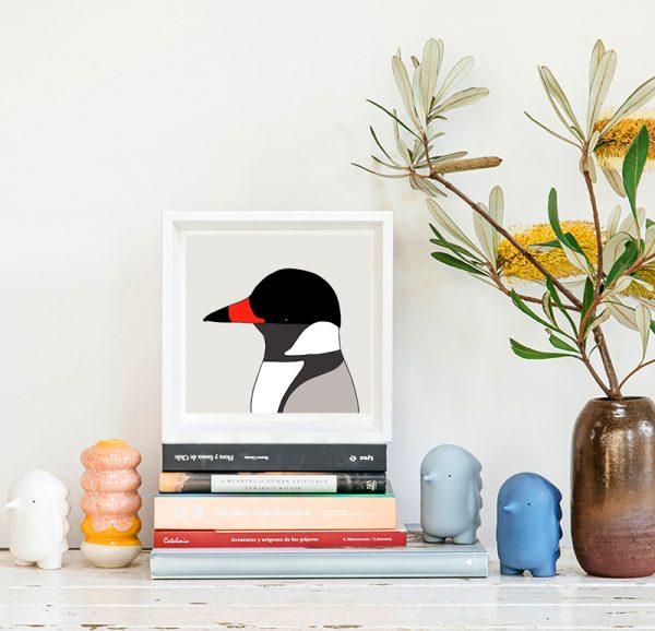 Hooded Plover - Image 2