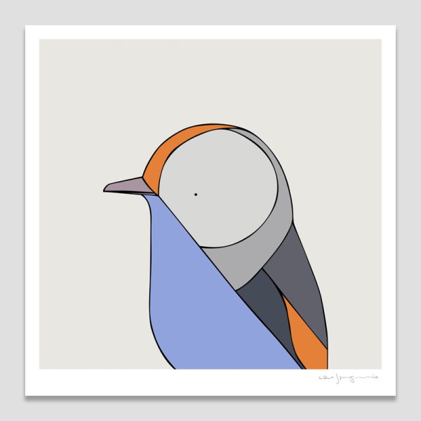 Tasmanian Thornbill