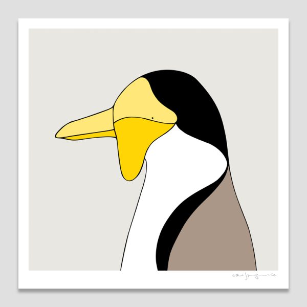 Masked Lapwing