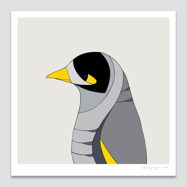 Noisy Miner