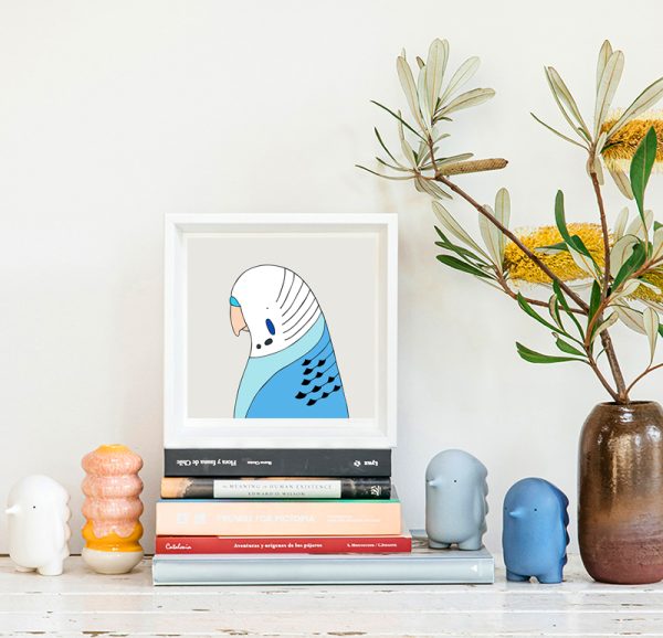 Budgerigar (blue) - Image 2