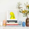 Budgerigar - Image 2