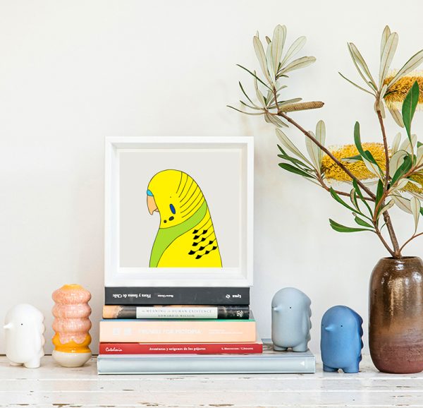 Budgerigar - Image 2