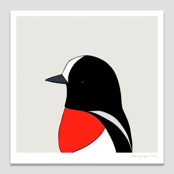 Scarlet Robin