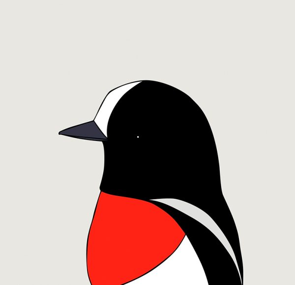 Scarlet Robin - Image 3