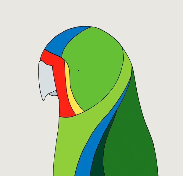 Swift Parrot - Image 3