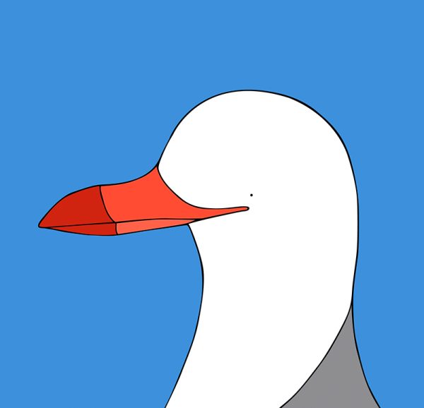 Silver Gull - Image 3