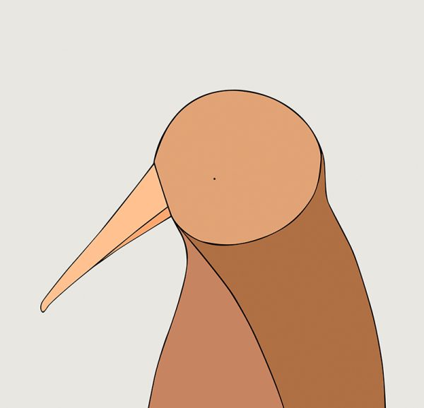 Kiwi - Image 3