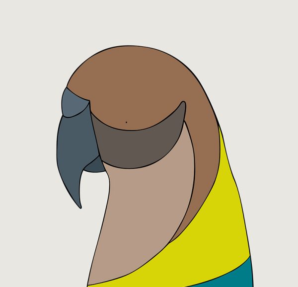 Kea - Image 3