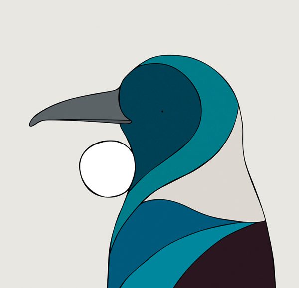 Tui - Image 3