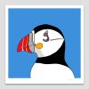 Atlantic Puffin