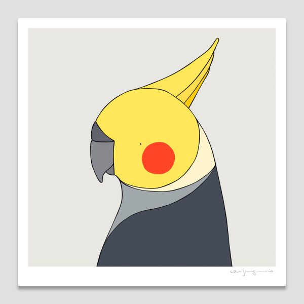 Cockatiel