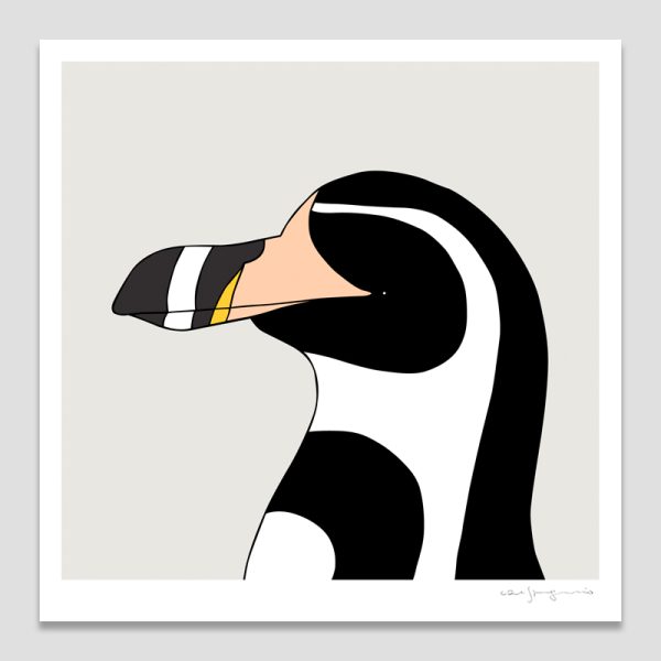 Humboldt Penguin