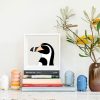 Humboldt Penguin - Image 2