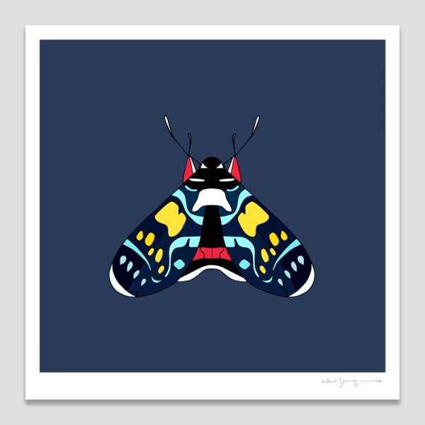 Painted Vine Moth
