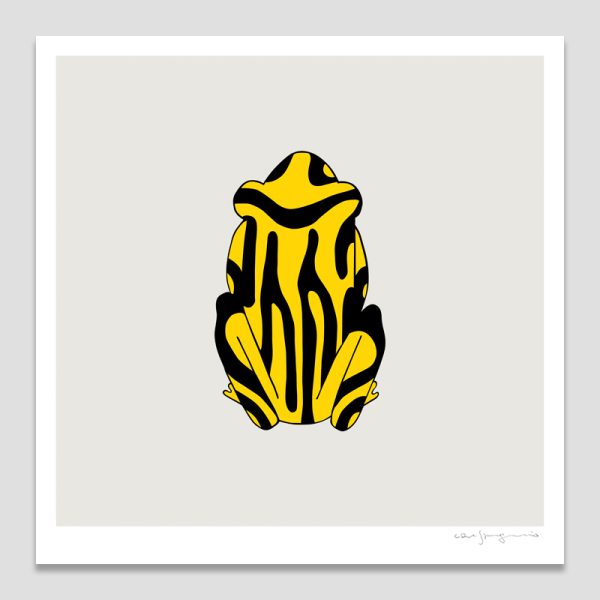 Southern Corroboree Frog