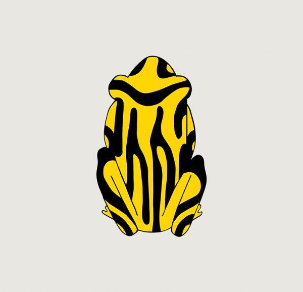 Southern Corroboree Frog - Image 3