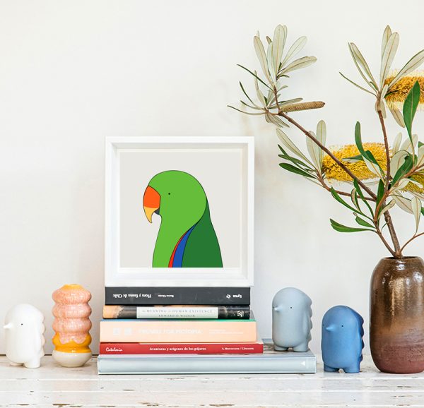 Eclectus Parrot - Image 2