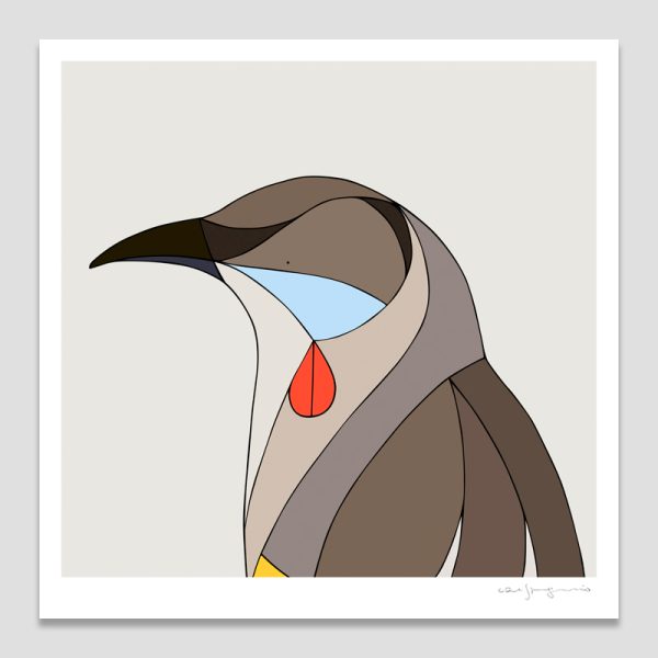 Red Wattlebird