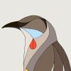 Red Wattlebird - Image 3