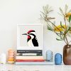 Yellow-bellied Sapsucker - Image 2