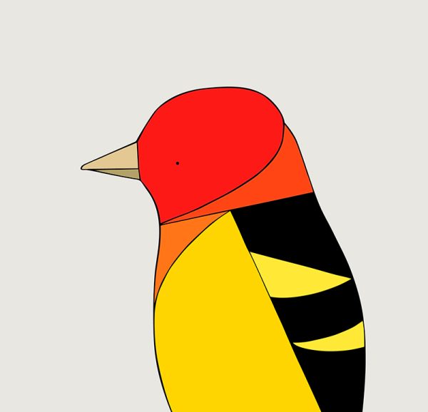 Western Tanager - Image 3